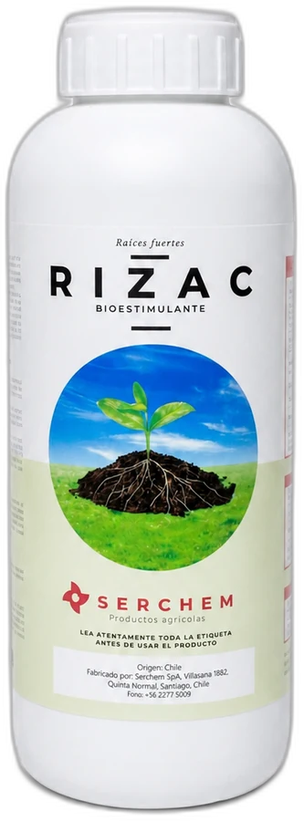 Rizac